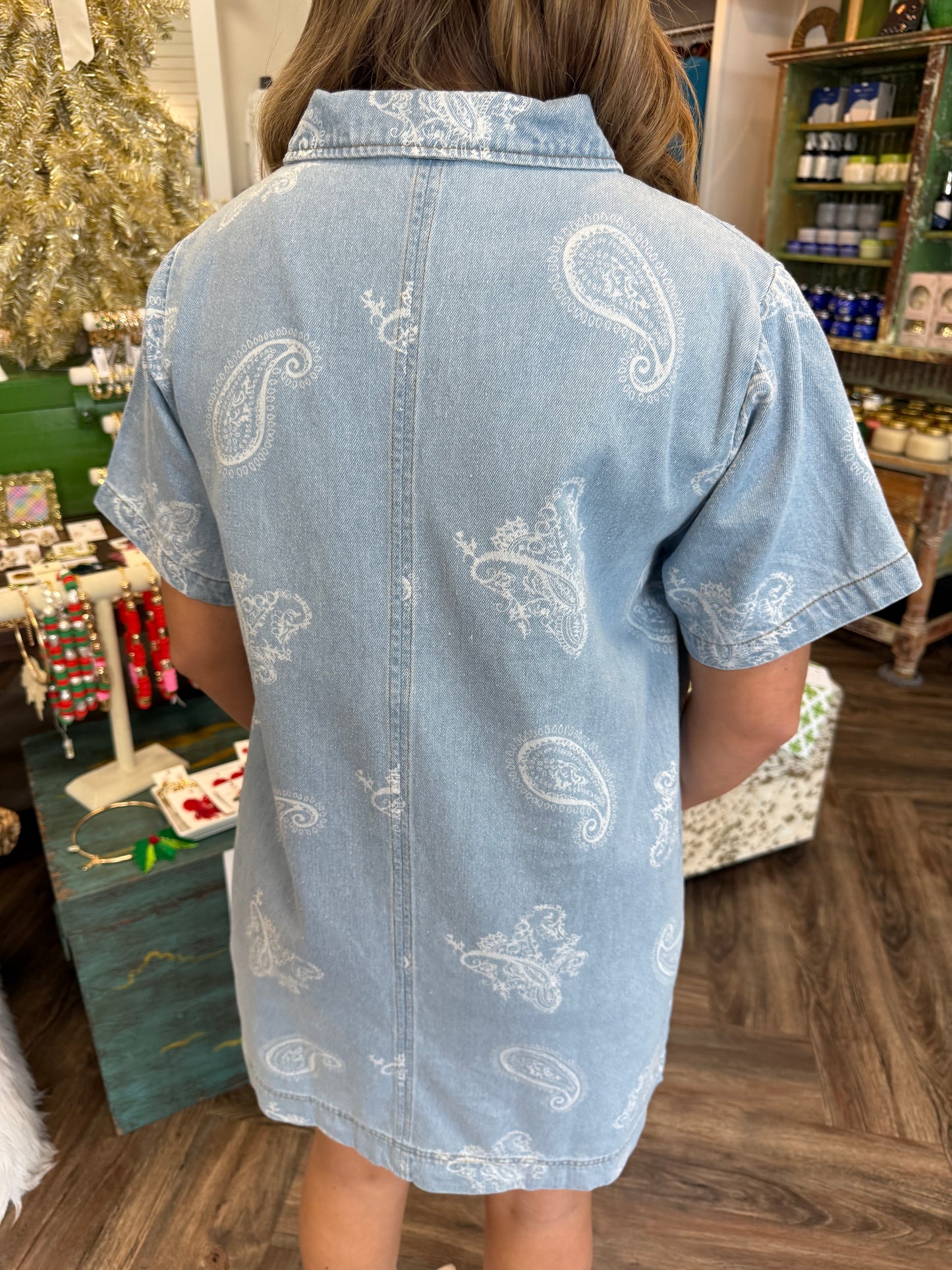 Paisley Denim Dress