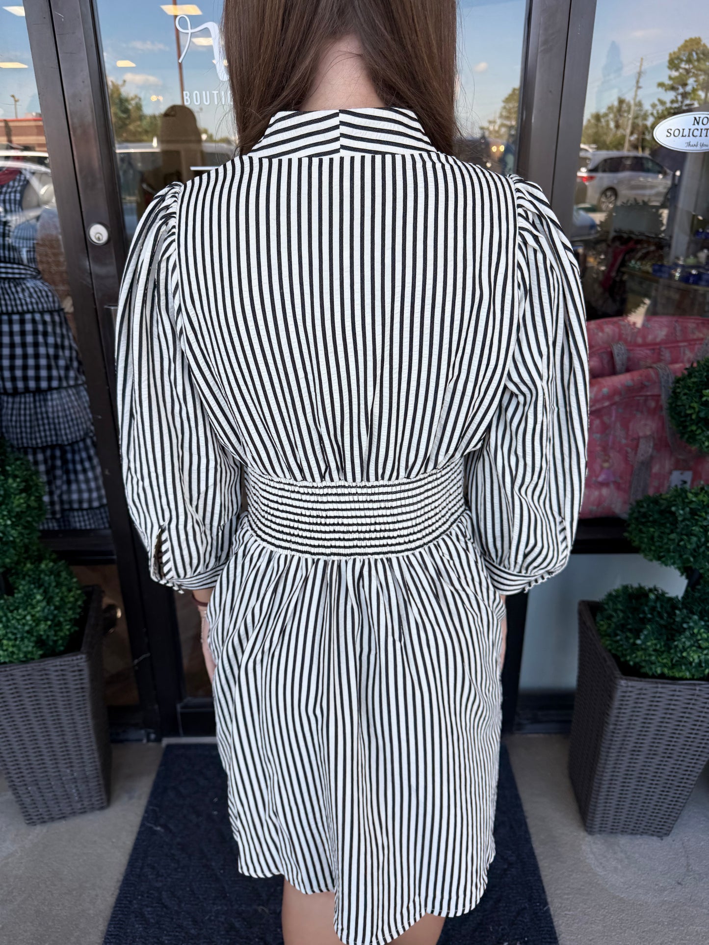 Saylor Stripe Dress: Black