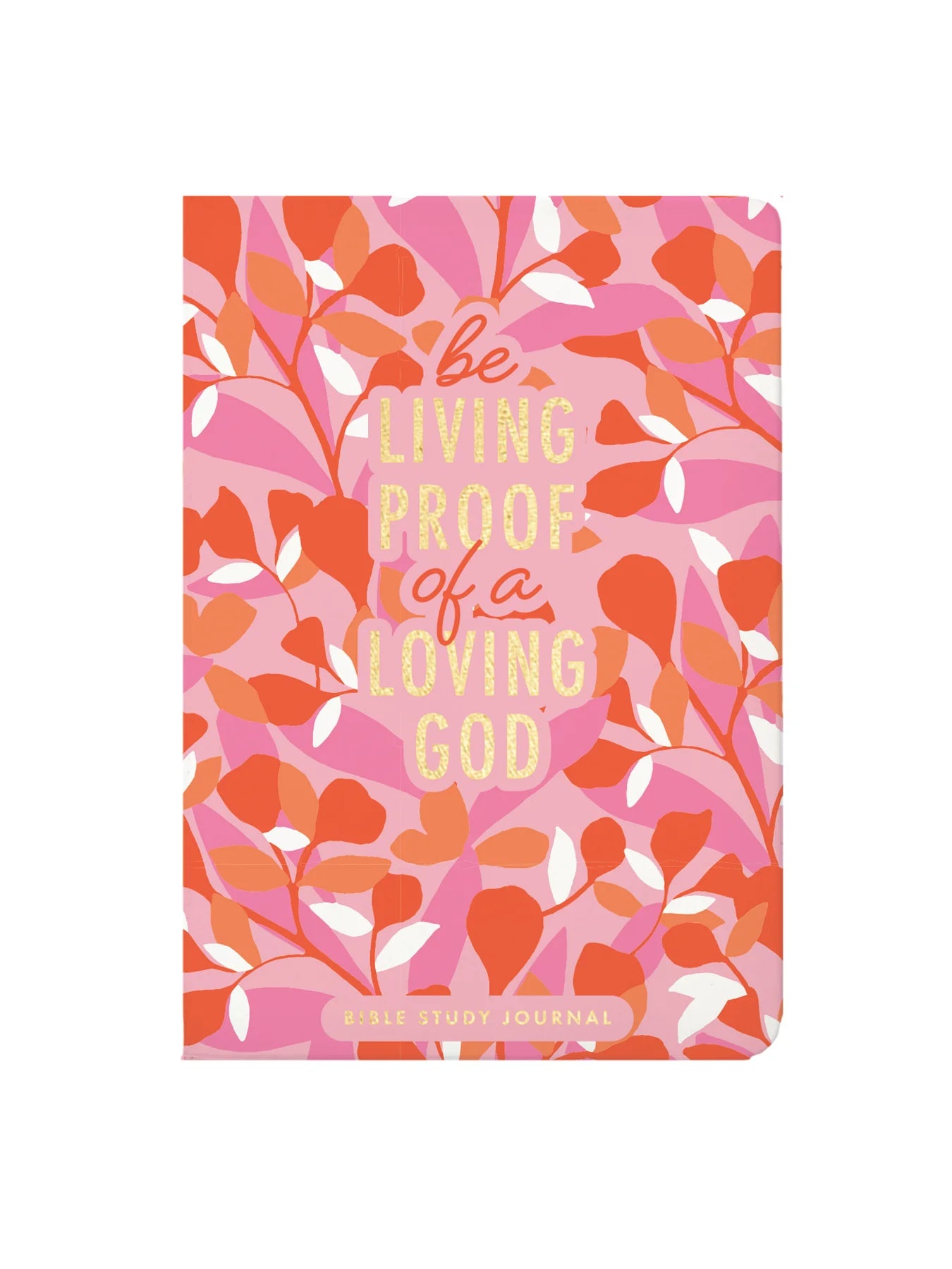 Bible Study Journal | Be Living Proof