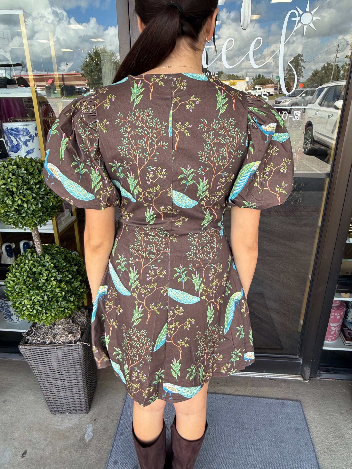 Peacock Button Dress