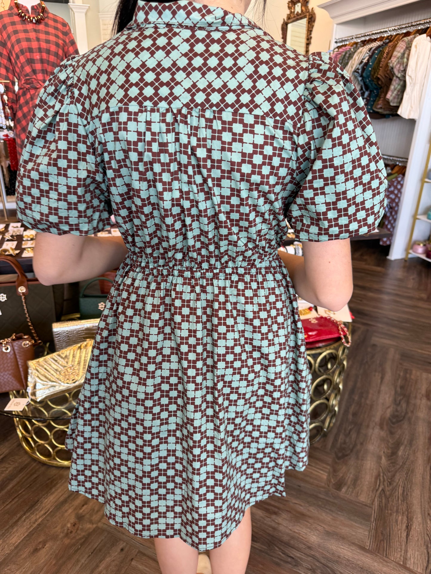 Checkered Blue and Brown Dress