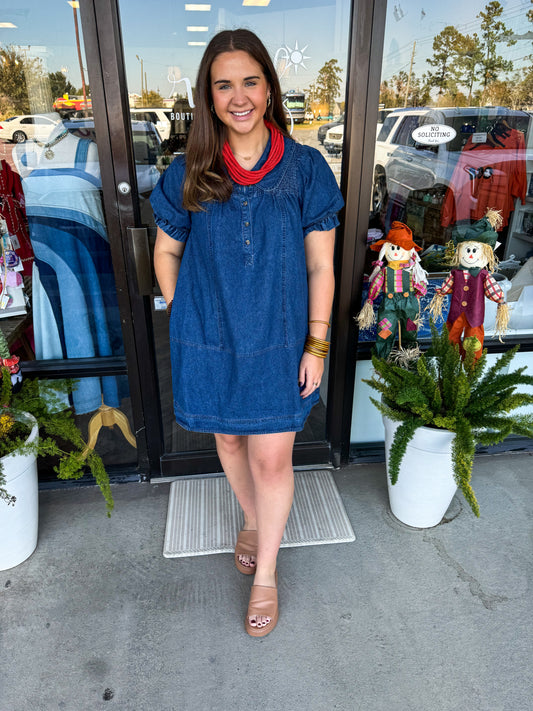 Collard Dark Denim Dress