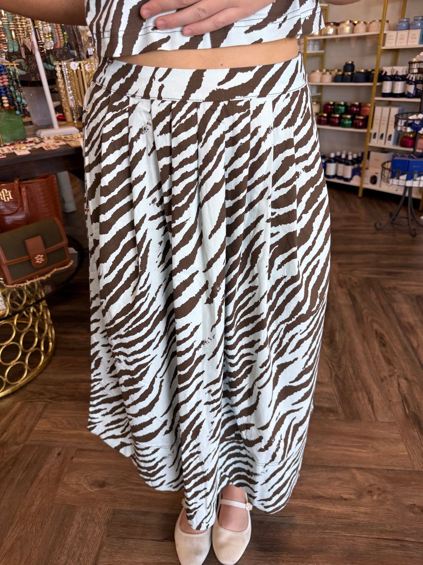 Blue and Brown Zebra Set