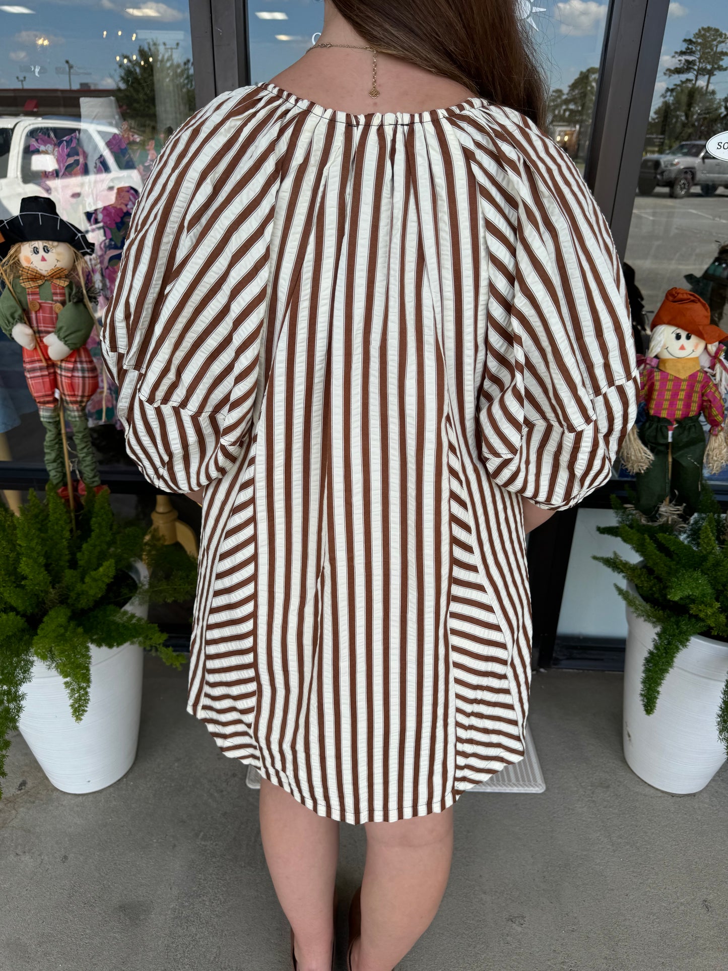 Neutral Stripe Dress: Brown